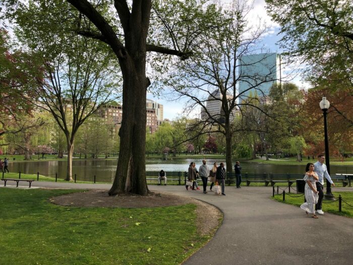 Promenad vid stor damm i Boston Common Park