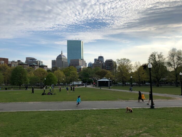 Gräsmattor i Boston Common Park med höga hus i fjärran